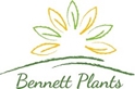 Bennett Plants -- Greenhouse 