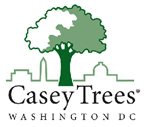 Casey Trees -- restoring, enhancing, protecting tree canopy 