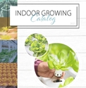 BFG Supply: Indoor Growing Catalog 