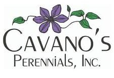 Cavanos Perennials, Inc. 