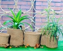 Creation Jute USA LLC -- Gardening Bags, Products 