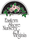 *Eastern Shore Nursery of Virginia  