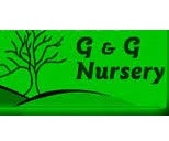 G&G Nursery -- wholesale nursery 