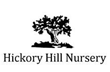 *Hickory Hill Nursery  