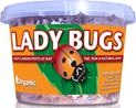 Organic Control (Orcon):  Live Ladybugs 