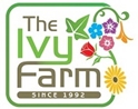 *The Ivy Farm 