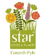Star® Roses & Plants (Conard-Pyle) 