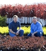 *Kraemer's Nursery -- containerized and field grown stock - 
