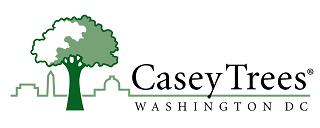 Casey Trees