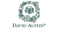David Austin Roses