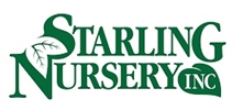 Starling Nursery